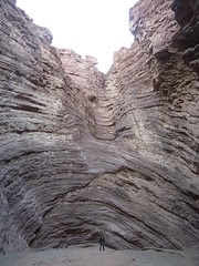 P1110059