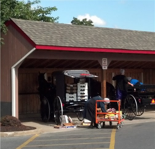 Amish bulk shopping at Costco 9/13/13