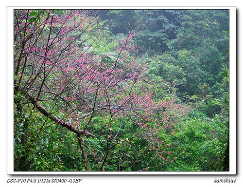 nEO_IMG_DSC09108