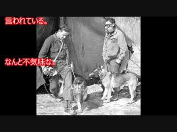 閲覧注意 恐怖 怖い画像集とそのエピソード 心霊 都市伝説も ニコニコ動画