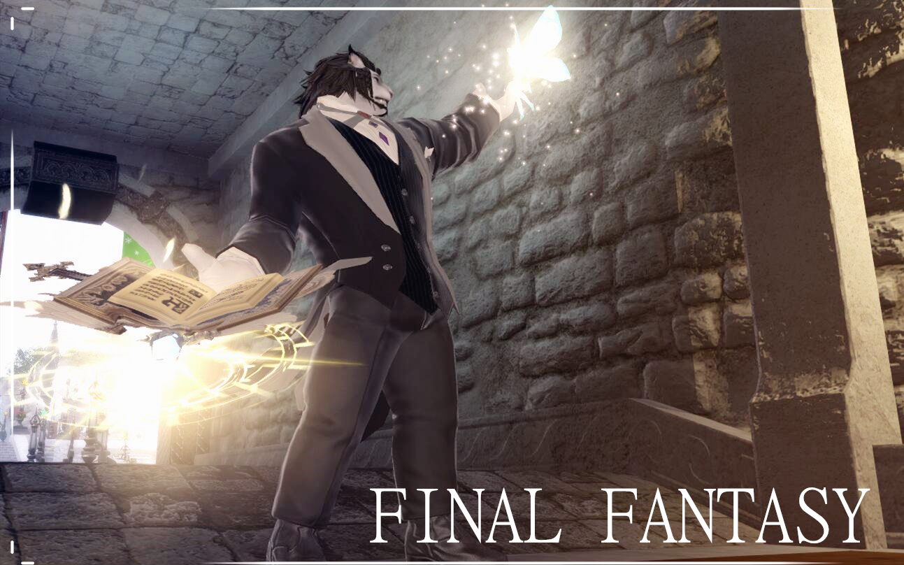 Ff14 古武 大猫 全职业本我阶段纪念 哔哩哔哩 つロ干杯 Bilibili