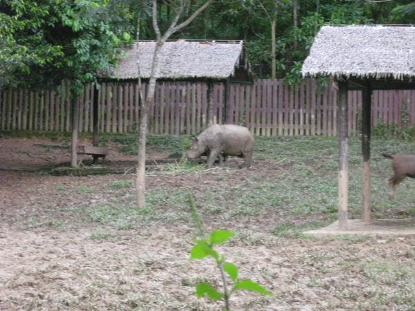 Taman Hidupan Liar Lok Kawi