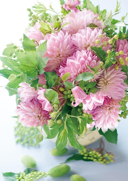 Epo 71 592 フラワー 9月 ダリア 花言葉 感謝 108ピース エポック社 の商品詳細ページです 日本最大級のジグソーパズル通販専門店 ジグソークラブ