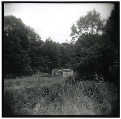 Old Shed