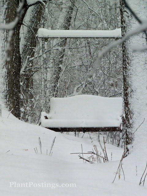bench9