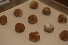 Food Librarian - Ginger Spice Cookies (Bon Appetit)
