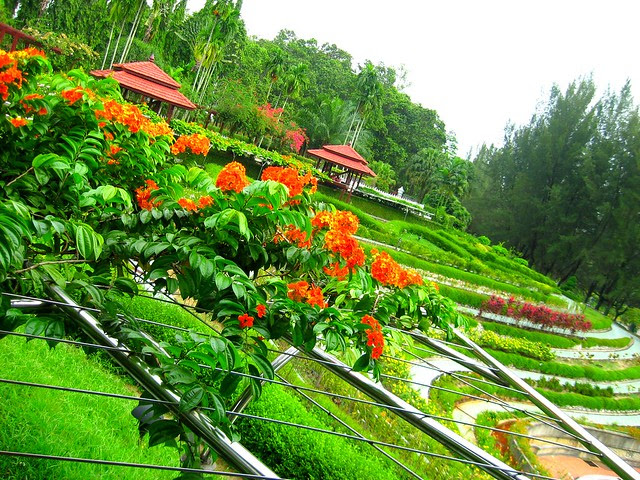 The Modern Hanging Garden! | Flickr - Photo Sharing!