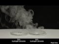 First Entirely Soft Robot Created