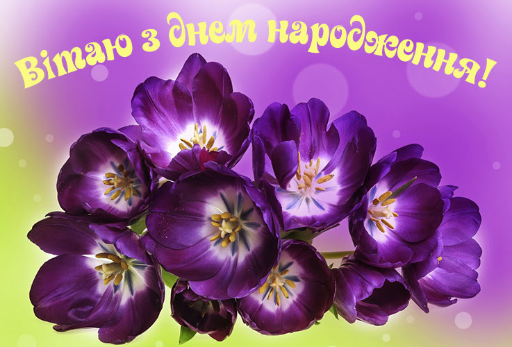 Вірші про день народження 