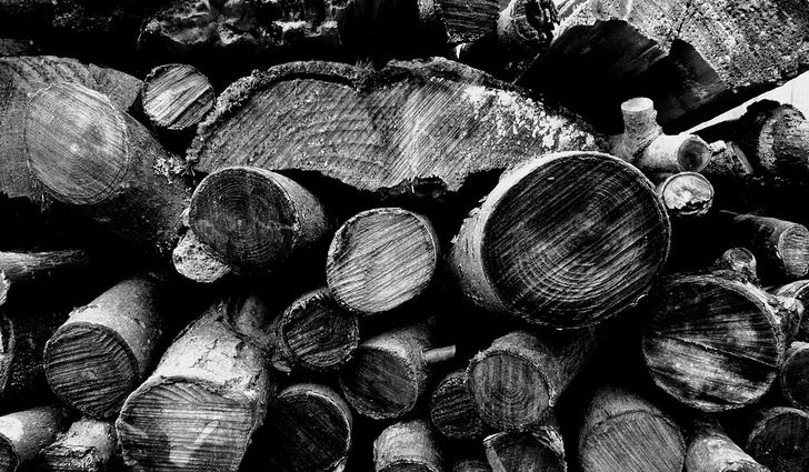 Wood pic of the day black and white texture.jpg