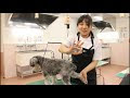 70以上 動物 飼育 員 専門 学校 301954-動物 飼育 員 専門 学校 関東