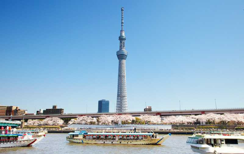 高画質 スカイツリーのキレイで高画質な画像 壁紙まとめ 写真まとめサイト Pictas