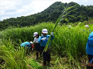 飯豊町立手ノ子小学校