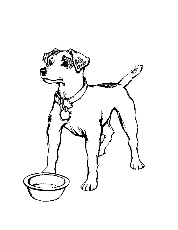 Free Realistic Dog Coloring Pages Download Free Clip Art Free Clip Art On Clipart Library