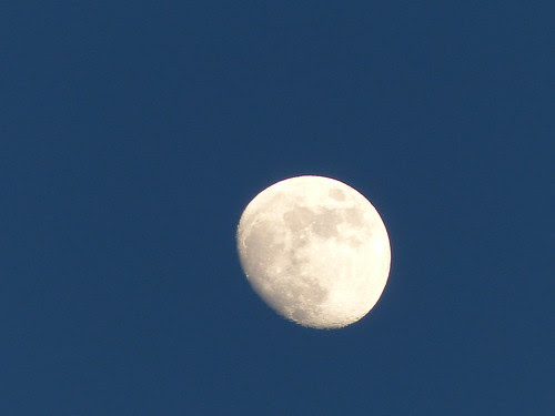 Almost-Full-Moon-by-Phua-Poh-Sim