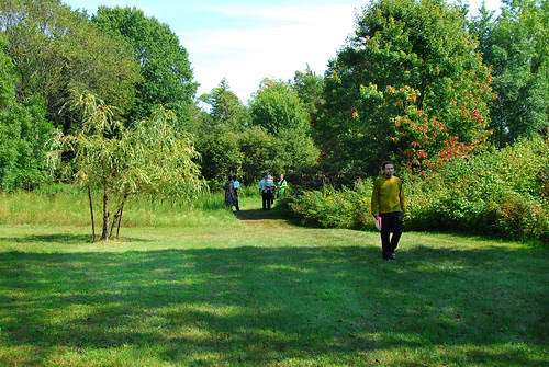 Walking the Green Aisle
