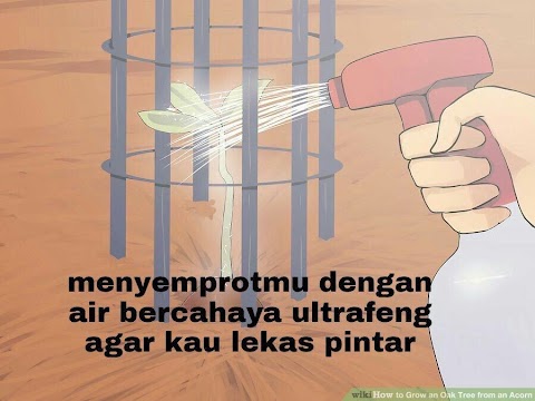 nama anak lelaki klasik
