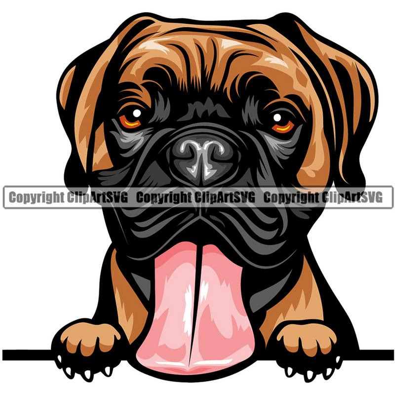 Download Boxer Dog Breed Peeking Color Clipart Svg Clipart Svg