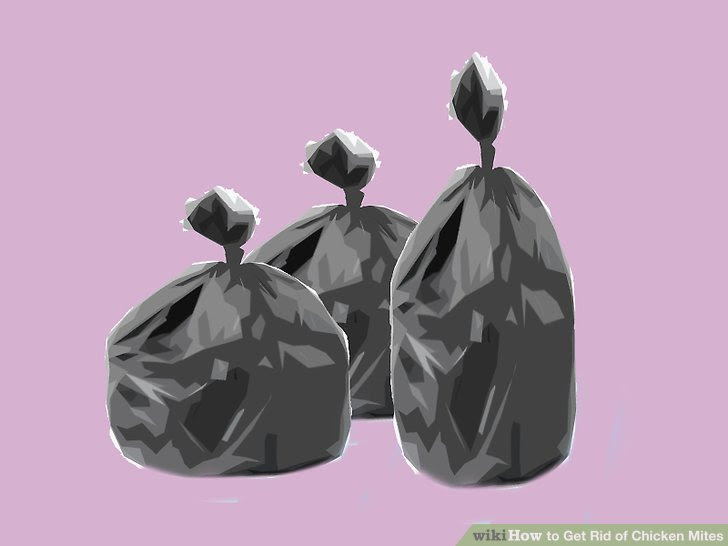 Get Rid of Chicken Mites Step 25.jpg