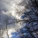 rdu_IMG_1106 copy