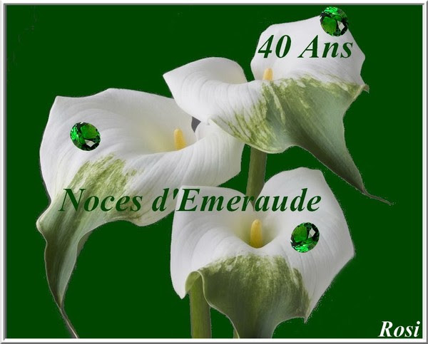 anniversaire mariage 40 ans