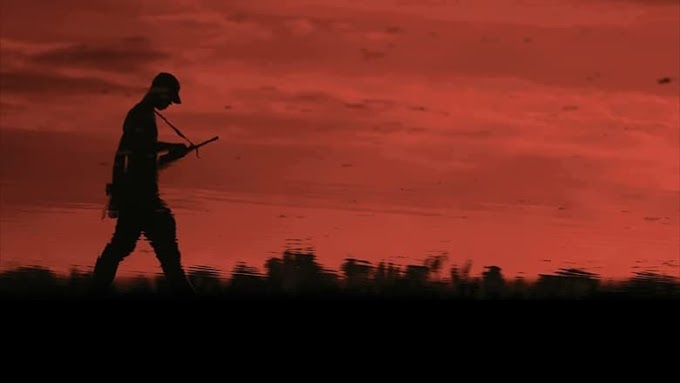 Colombia fue nuestra Pelicula Completa 2020 Español Latino Gratis en
Línea FULL HD