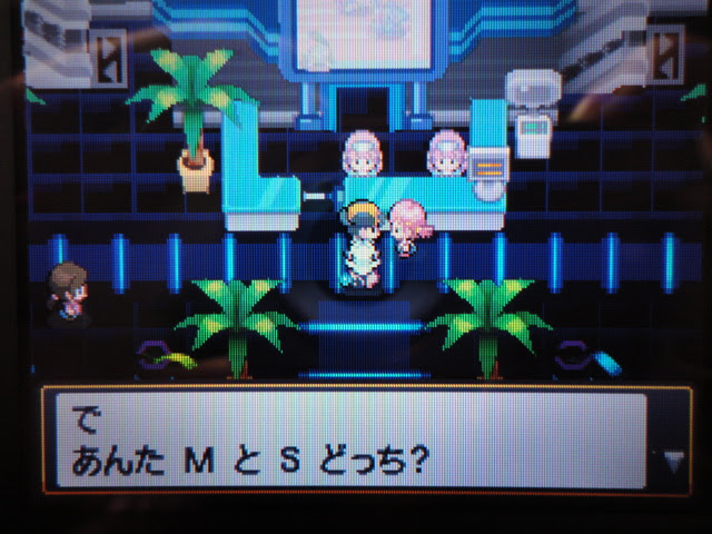 オレンジ猫草原 暗チでポケモン