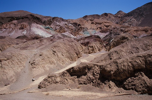 Artist's Palette