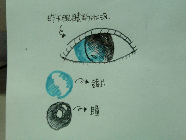 與日本同步上市每日拋隱形眼鏡新牌 諾貝爾 Part2 心 心相錫 痞客邦
