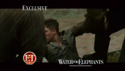 imagebam.com