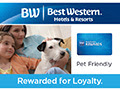 Best Western - Pet Friendly