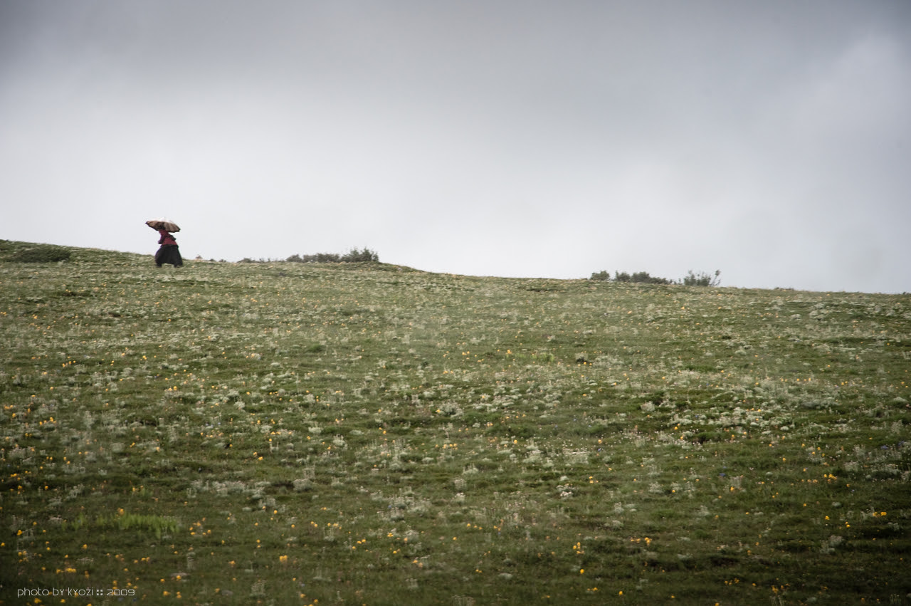 [2009 Shangri-La] DaoCheng snap