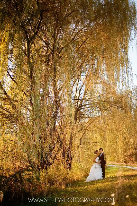 Park Farm Winery Wedding Images in Iowa, wedding images by Seeley Photography. http://www.sarahseeley.com