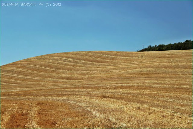 montalcino