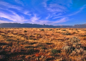 Karoo desert