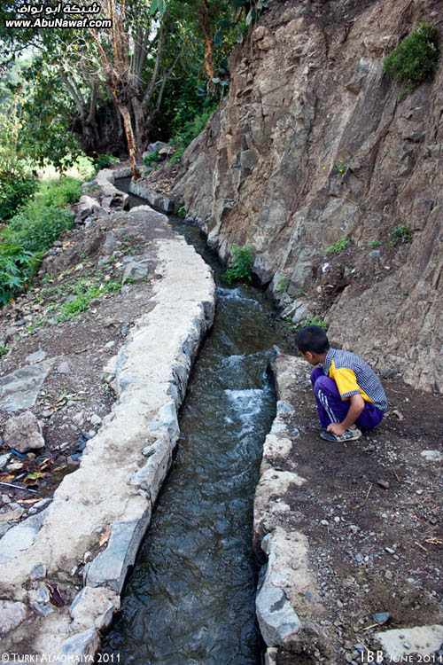 إب صيف هذا العام .. الجمال كما تحب أن تراه