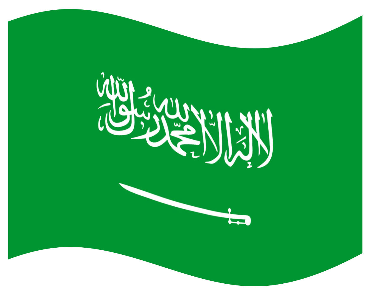How many countries are in Saudi Arabia - Over 500