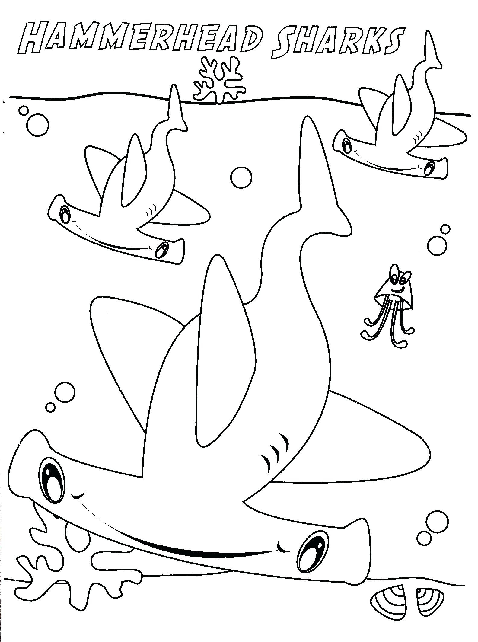 Megalodon Shark Coloring Pages at GetColorings.com | Free ...