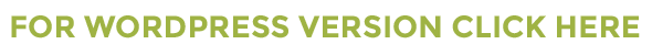 wp version