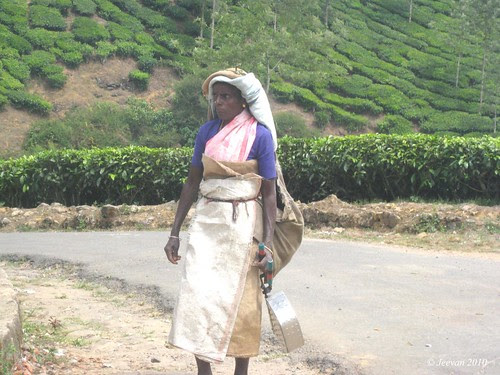Happy Women's Day