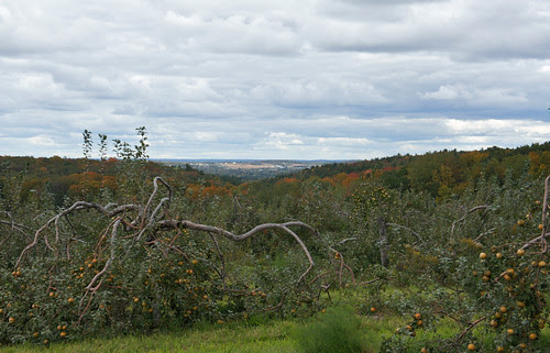 DSC02403