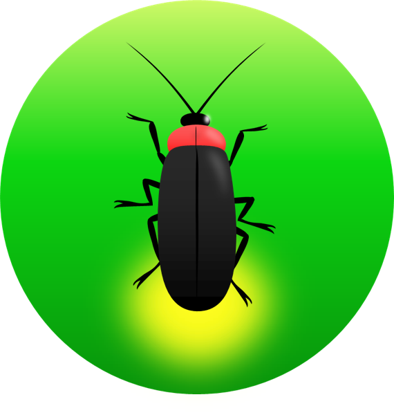 葉の上の蛍 正面 のイラスト 無料イラスト素材 ちいさないきもの