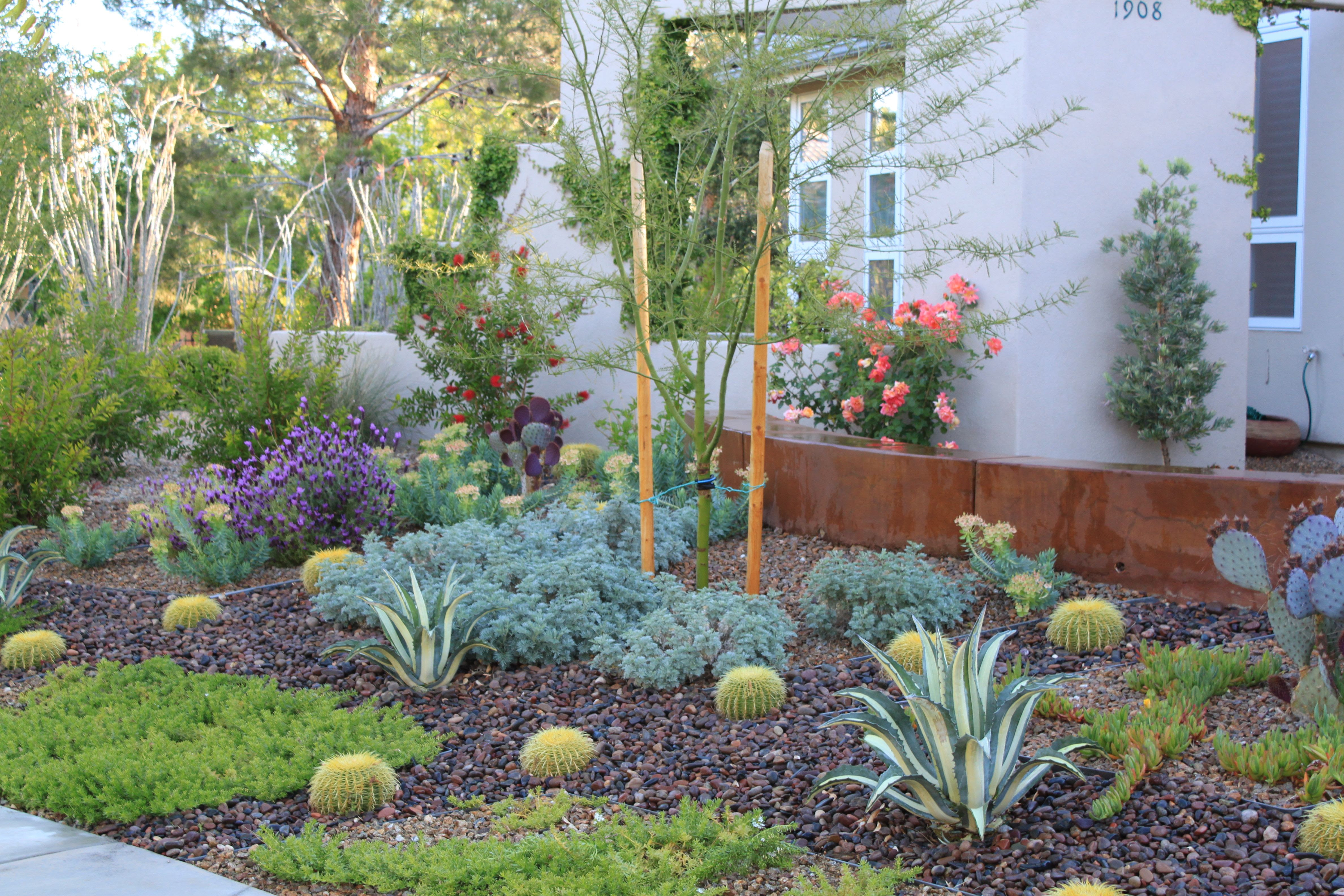 More xeriscaping ideas I like | Dry River Bed Ideas ...