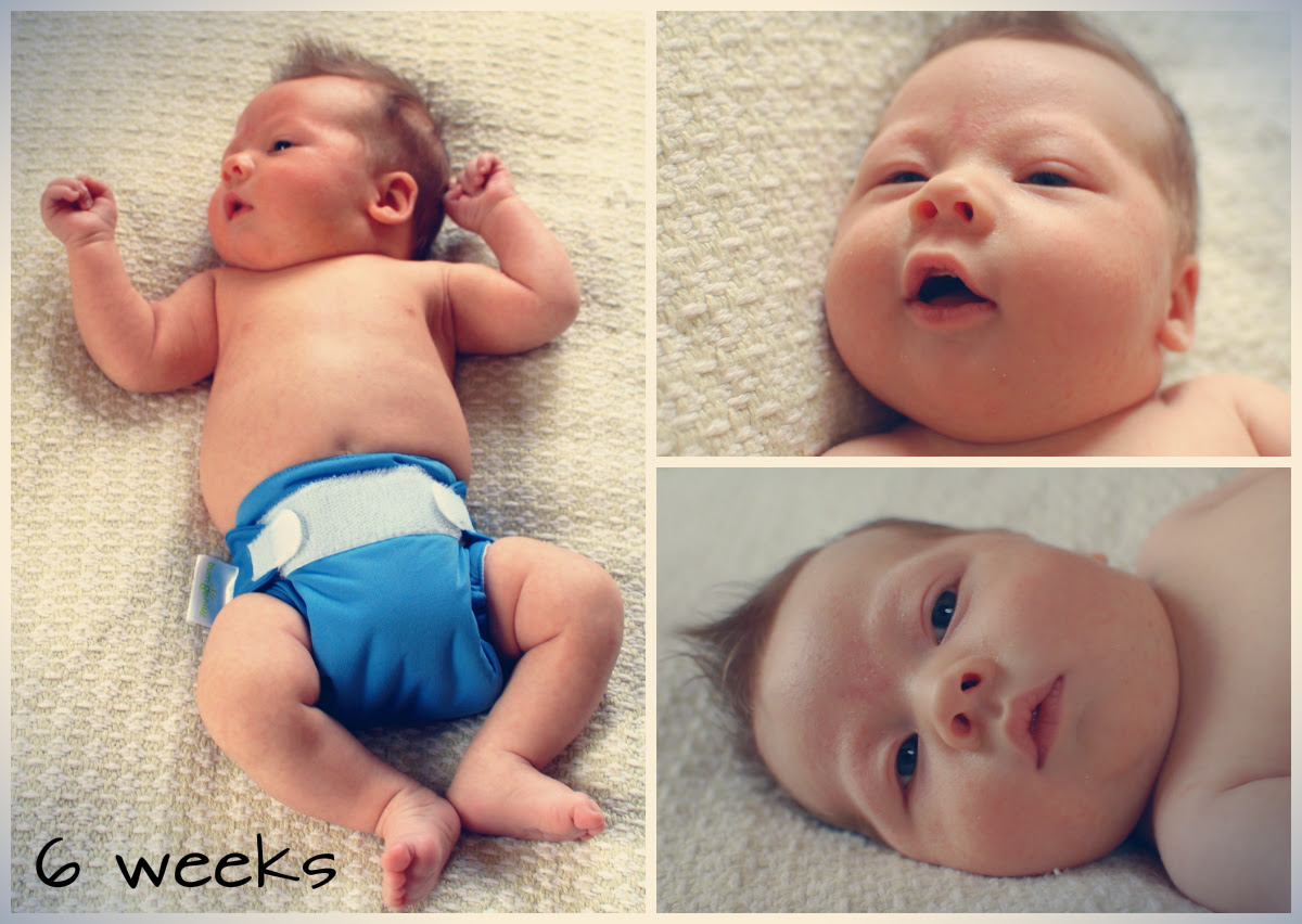 levi 6 weeks