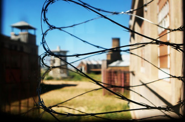 barbedwire_prisonguardsdilemma