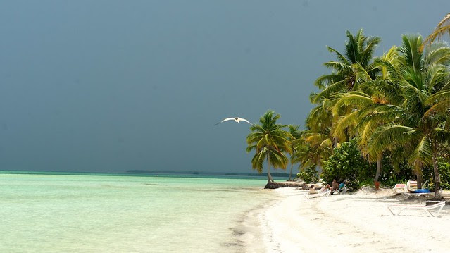 anteketborka.blogspot.com, plage_bestof