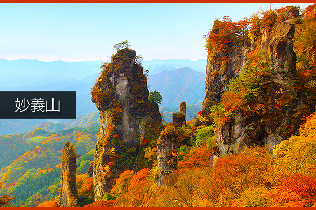 じょいふるねっと 特集記事