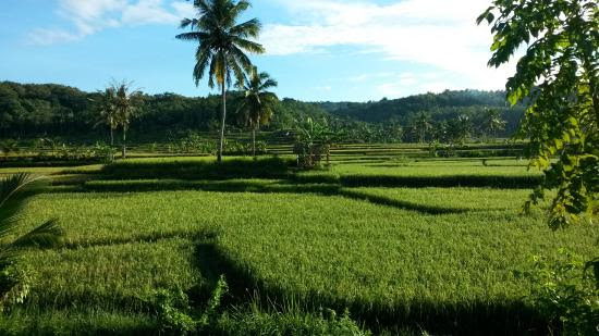 Keindahan ipemandangani ipantaii Karang Taraje idii ipagii iharii Keindahan ipemandangani ipantaii Karang Taraje idii ipagii iharii