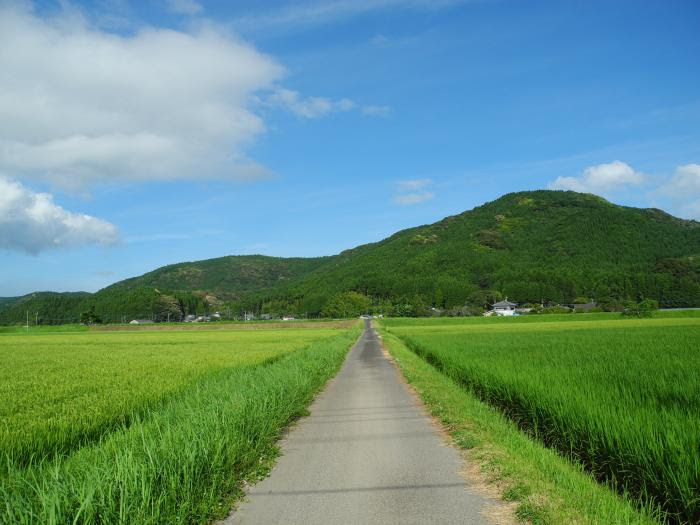 扉の向こうへ 酔龍亭雑記 夕暮れ時