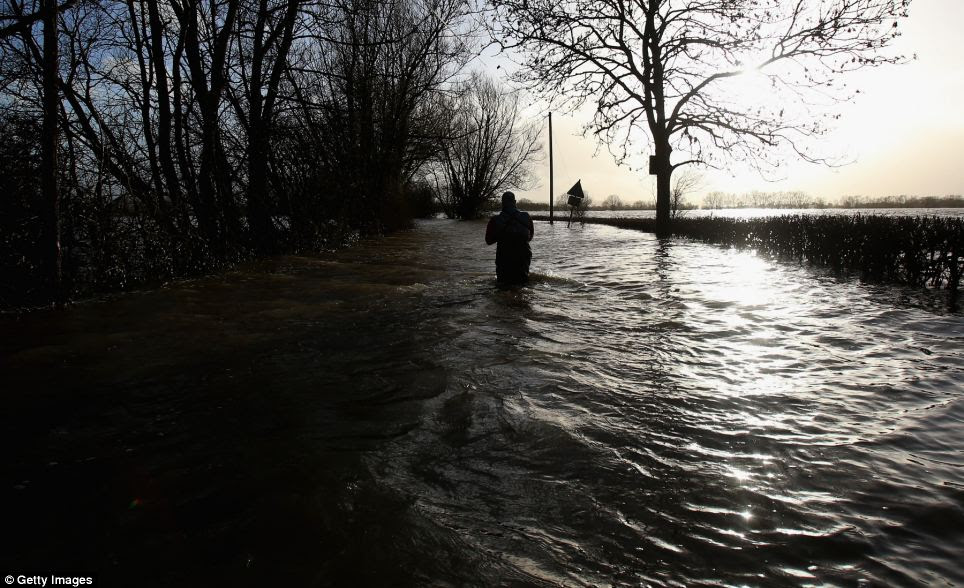 Deep water: A man is thigh-deep in water as he attempts to walk down a road leading to the village of Muchelney in Somerset